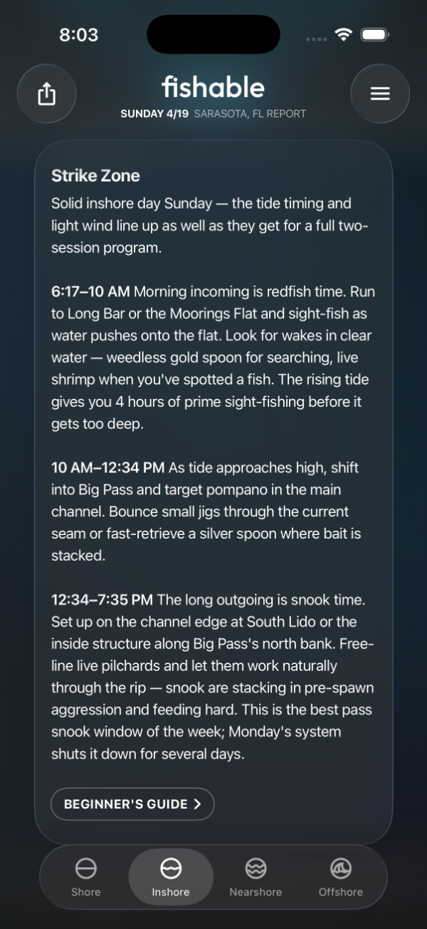 Screenshot of the Strike Zone section with morning, mid-day and afternoon tide windows